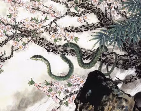 Vận thế người tuổi Tỵ năm 2022 không thuận lợi do tương hình với thái tuế. Đặc biệt công việc của con giáp này không có chút tiến triển khả quan nào, dù đã rất cố gắng nhưng mọi việc vẫn không suôn sẻ như ý. 