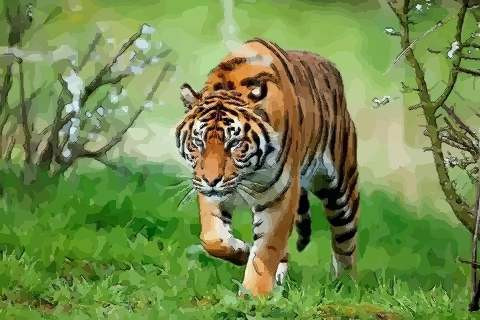 Bước vào năm Nhâm Dần 2022, vận thế của người tuổi Dần lao dốc không phanh, vận đen đeo bám, thị phi bủa vây, con giáp này làm việc gì cũng gặp trở ngại, khó bề thành công. 