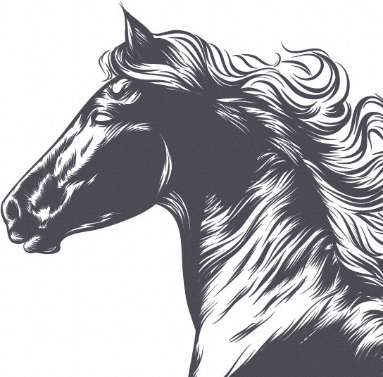 Tuổi Ngọ có một tuần làm việc khá căng thẳng, lại luôn bị tiểu nhân tìm cách quấy phá, cần hết sức cẩn thận, đặc biệt về con số.