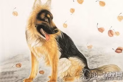 Trong vòng 20 ngày tới, người tuổi Tuất sẽ được quý nhân giúp đỡ và dẫn đường chỉ lối trong mọi việc. Con giáp này sẽ liên tiếp nhận được tin vui trong cuộc sống, chính vì thế mà tốc độ kiếm tiến cũng trở nên nhanh hơn. Có được sự giúp đỡ của quý nhân, mọi khúc mắc đều được hóa giải, do đó, người tuổi Tuất cần phân biệt rõ đâu là quý nhân và đâu là tiểu nhân.