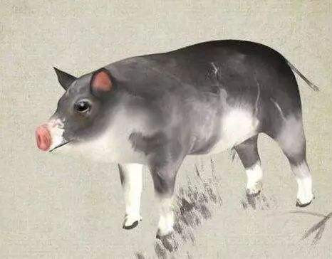 Tuổi Hợi: Bảy ngày tới, người tuổi Hợi do được thần phật phù hộ, nên sẽ có được vô số cơ hội phát tài. Khi tài vận ngày càng thịnh phát thì tài khố cũng ngày một sung túc, cuộc sống của con giáp này trở nên đủ đầy hơn trước rất nhiều.