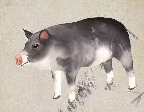 Tuổi Hợi: Bảy ngày tới, người tuổi Hợi do được thần phật phù hộ, nên sẽ có được vô số cơ hội phát tài. Khi tài vận ngày càng thịnh phát thì tài khố cũng ngày một sung túc, cuộc sống của con giáp này trở nên đủ đầy hơn trước rất nhiều.