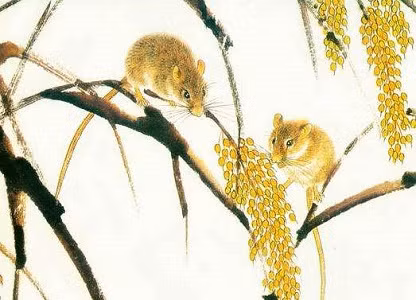 Ngoài ra, sau khi kết hôn, gia đình của cặp đôi Tý, Sửu sẽ ngày càng hạnh phúc, giàu có và sẽ có những đứa con giỏi giang,thành đạt. 