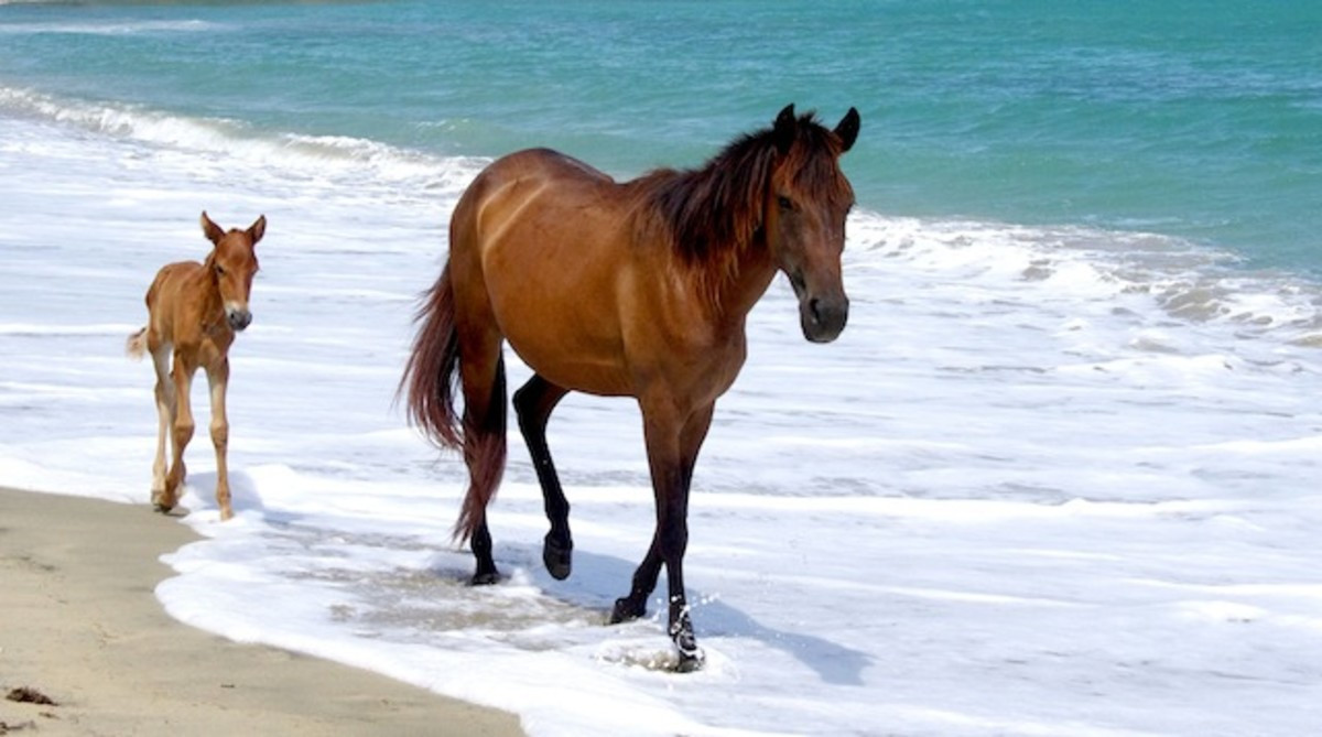  Tuổi Ngọ: Hôm nay, bạn sẽ nghe thấy nhiều tin đồn hoặc thông tin khá hấp dẫn, có lợi cho bản thân. Nếu cố gắng hết mình, con giáp này sẽ nhận được không ít đánh giá tích cực. Giàu có là rất tốt vì chúng ta có cơ hội kiếm tiền nhiều hơn nữa. 