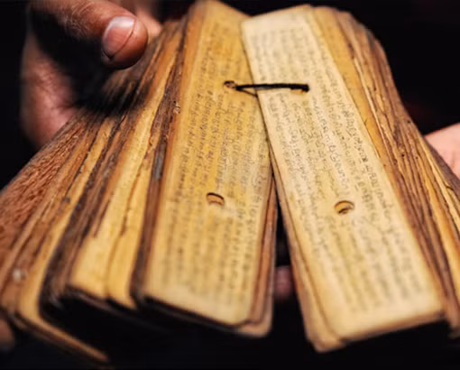 Việc tạo ra các bản thảo lá cọ chiêm tinh Nadi có niên đại hơn 2.000 năm trước, với công trình Saptarishis của các nhà hiền triết huyền thoại như Agastya, Vashishta và Bhrigu. Ảnh: @My Mayan Sign. 