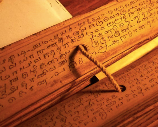 Ở miền Nam Ấn Độ, một truyền thống văn bản cổ xưa phi thường đã lưu giữ những lời tiên tri được cá nhân hóa trong hàng ngàn năm qua. Ảnh: @My Mayan Sign.