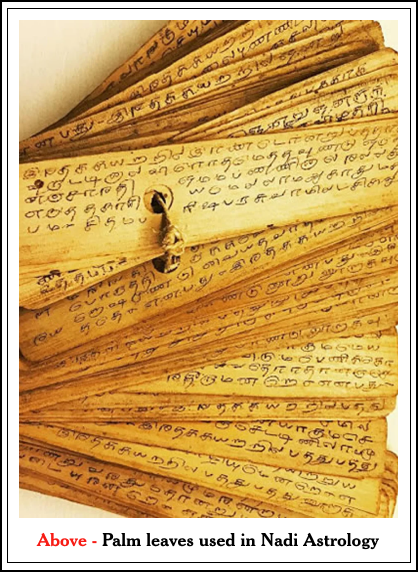 Sử dụng sự hiểu biết thần thánh của mình, những bậc thầy này đã ghi lại những dự đoán chi tiết trên lá cọ, bằng một cây bút đặc biệt, tạo ra một hệ thống chiêm tinh học Vedic phức tạp chưa từng có. Ảnh: @Pinterest. 
