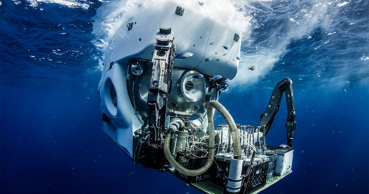 Tuy nhiên, nhờ các phương tiện thăm dò đáy biển công nghệ cao được điều khiển từ xa, một số bí mật của đại dương đang dần được hé lộ, bao gồm cả cách các loài sinh sản bí ẩn bên dưới đáy đại dương sâu thẳm. Ảnh: @ECO Magazine.