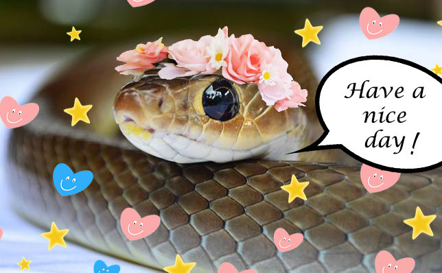 Tuổi Tỵ hôm nay không nên lười biếng. May mắn là việc kinh doanh của con giáp hợp tác suôn sẻ, mang về thu nhập tốt.