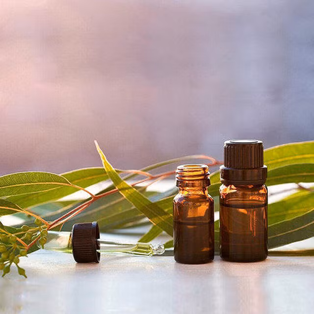 Ngay cả khi dùng tinh dầu xua muỗi, hiệu quả của tinh dầu cũng phụ thuộc vào việc chúng ta chọn đúng loại tinh dầu, sử dụng đúng thời điểm.