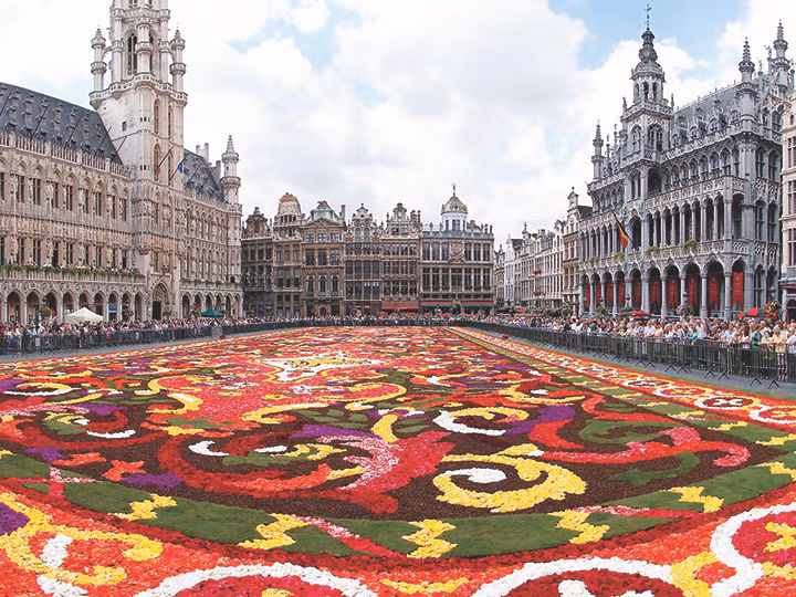 Tuổi Tuất: Sự nghiệp: không có biến động lớn. Tài vận: có thêm khoản thu từ việc đầu tư trước đây. Tình cảm: không nên yêu cầu quá cao trong tình cảm. Ảnh: baidu.com.