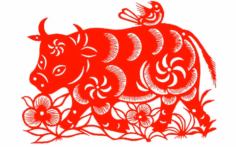 Tuổi Sửu: Người tuổi Sửu luôn chăm chỉ làm việc và đặc biệt trong tháng 7, thu nhập của người tuổi Sửu có bước đột phá mạnh mẽ.