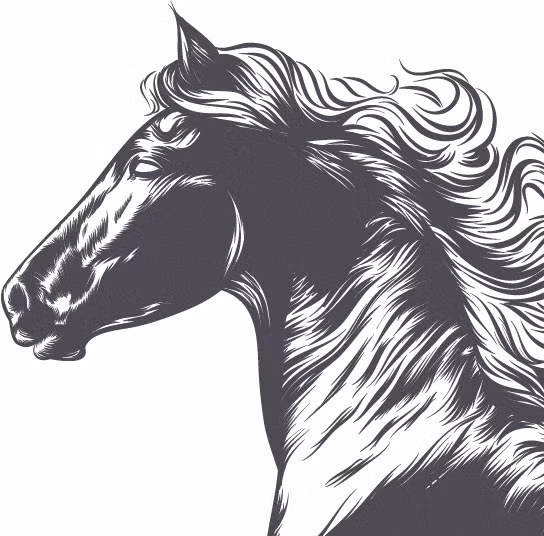 Tuổi Ngọ nhận được sự tin tưởng của người khác, nhờ vậy việc kiếm tiền trở nên dễ dàng, phát tài phát lộc. Con giáp chỉ chú ý không làm việc riêng trong giờ kẻo bị đánh giá.