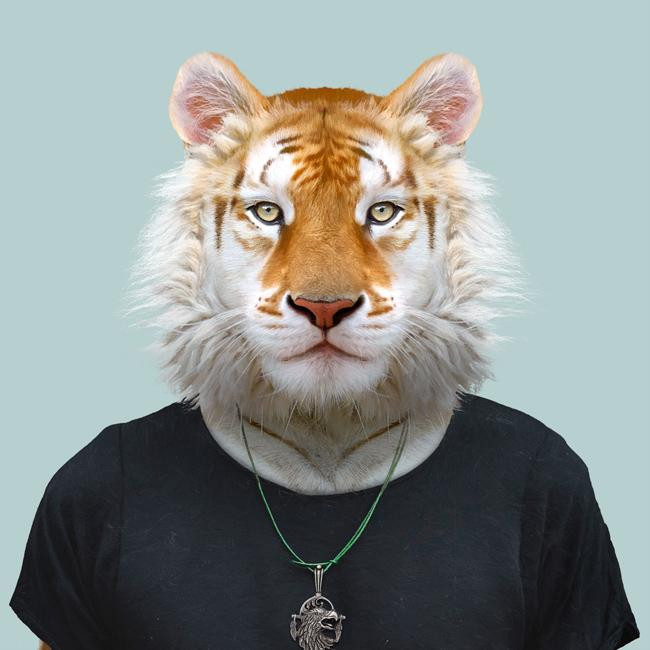 Tuổi Dần còn độc thân cần đặc biệt để ý chuyện tình cảm trong tháng này. Vốn bản tính ít nói, chần chừ, con giáp không dám thổ lộ với đối tượng của mình. Con giáp cần nhớ rằng luôn có kẻ thứ 3 muốn "nẫng tay trên" đối tượng của bạn.