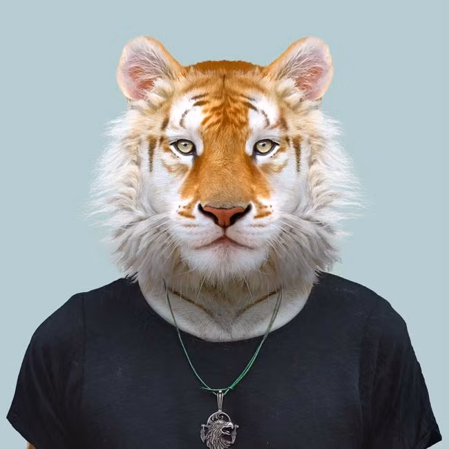 Tuổi Dần còn độc thân cần đặc biệt để ý chuyện tình cảm trong tháng này. Vốn bản tính ít nói, chần chừ, con giáp không dám thổ lộ với đối tượng của mình. Con giáp cần nhớ rằng luôn có kẻ thứ 3 muốn "nẫng tay trên" đối tượng của bạn.