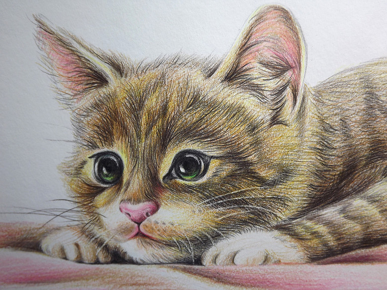  4. Con giáp tuổi Mão: Người tuổi Mõ trước đây do gặp cách cuộc Mão Thìn tương hại nên dễ bị sập bẫy tiểu nhân, gian nan vất vả bộn bề. Nửa cuối năm, nhờ có Hỏa Mộc tương sinh mà họ sẽ chuyển nguy thành nan, bài thành thắng, đại công cáo thành, làm gì cũng vượng. 