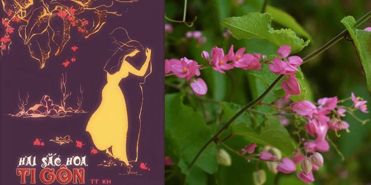 So phan tro treu it nguoi biet cua tuyet pham Hai sac hoa tigon-Hinh-6