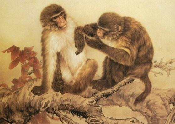 Tuổi Thân: Người tuổi Thân thường dựa vào đầu óc thông minh của mình để kiếm tiền, nhưng thời gian gần đây do bị tiểu nhân phá rối nên việc kiếm tiền trở nên khó khăn hơn bao giờ hết.