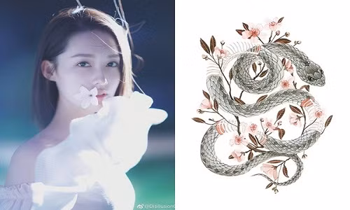 Ngoài ra, thiên tài vượng phát, việc quản lý tài chính và đầu tư kinh doanh của người tuổi Tỵ ngày một suôn sẻ, hanh thông hơn.