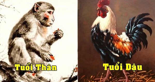 Cặp đôi Thân, Dậu: người tuổi Thân thông minh, nhanh nhẹn, người tuổi Dậu nhiệt tình. Sự kết hợp của cặp đôi này có thể nói là “ quý khí phi phàm”. 