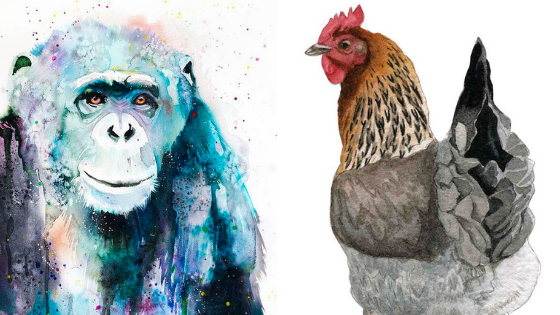 Cặp đôi này luôn quản lý tốt tiền trong tay mình, dù cả hai đều độc lập về kinh tế nhưng cả hai không bao giờ lãng phí tiền bạc và luôn muốn giữa của cải cho gia đình. Chính vì thế, tài chính gia đình ngày một vững chắc, tình cảm gia đình cũng ngày một bền chặt. 