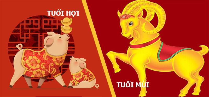 Cặp đôi Hợi Mùi có đặc điểm chung là nhẫn nại, kiên trì, luôn biết tích cóp tiền bạc, không lãng phí tiền vào những việc không cần thiết nên gia đình luôn sung túc, đầy đủ. (Bài viết chỉ mang tính tham khảo, cung cấp nội dung trắc nghiệm vui cho bạn đọc). 