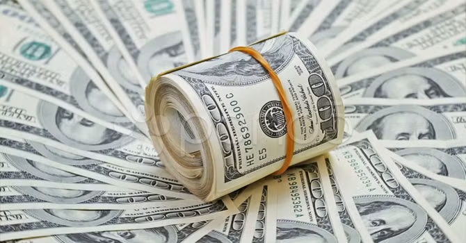  Tuổi Dần: Mùa hè 2017, vận thế của người tuổi Dần biến chuyển khả quan. Vốn là người say mê làm việc, nên họ sẽ gặp rất nhiều cơ hội thăng tiến, tăng lương. Ảnh: baomoi.com. 