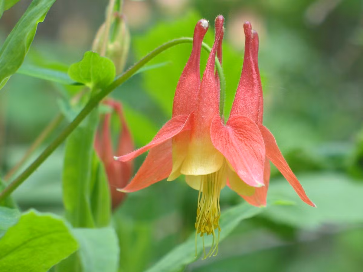 Tuổi Mão: Đề phòng tiểu nhân, vận thế bất ổn: Cuối tháng 4, vận thế của người tuổi Mão không ổn định. Con giáp này cần đề phòng tiểu nhân công kích, hãm hại trong công việc do đó khi làm bất cứ việc gì cũng cần bình tĩnh. Ảnh: summitpost.org.