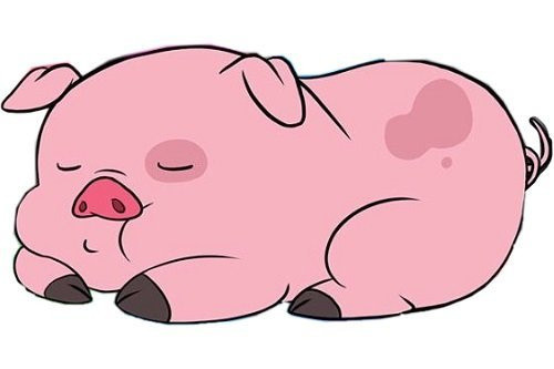 Tuổi Hợi áp lực gia tăng, cảm xúc xuống dốc không phanh. Hãy tìm cách học hỏi những người đi trước, sẽ giúp bạn có cái nhìn mới và nâng cao năng lực. Con giáp cẩn thận hôm nay mắc bẫy người lạ, mất mát tiền bạc. (*Thông tin chỉ mang tính chất chiêm nghiệm, trắc nghiệm vui).