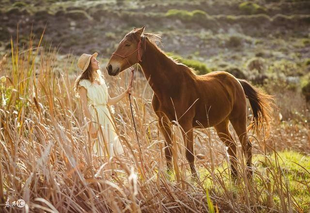 Người tuổi Ngọ sinh năm 1978 trong năm 2021 gặp phải không ít chuyện xui xẻo. Công việc xuất hiện nhiều khúc mắc khó giải quyết, lại sẽ thường phải đi công tác. Cường độ công việc bận rộn ảnh hưởng xấu đến sức khỏe. Đồng thời, năm Hại Thái Tuế việc kiếm tiền không thuận lợi, thu nhập giảm hơn so với năm trước rất nhiều nên phải có kế hoạch quản lý, chi tiêu tài chính rõ ràng.
