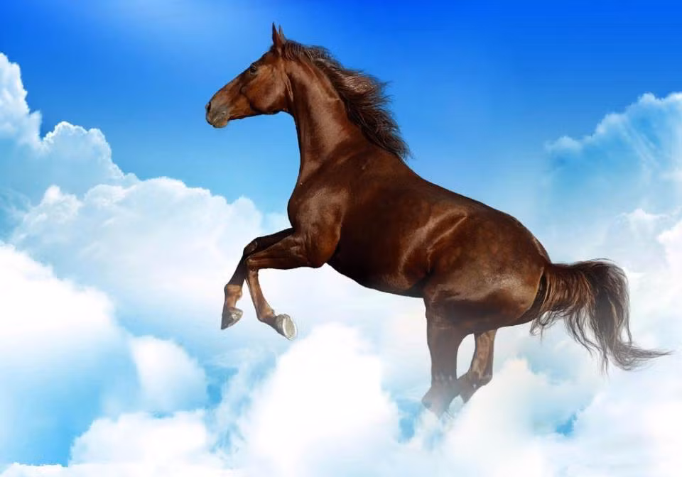 Năm 2021, người tuổi Ngọ bước vào năm “Hại Thái Tuế” và các hung tinh nên sự nghiệp, tài vận, tình cảm, sức khỏe đều không khả quan, gặp nhiều phiền phức, khó khăn, mặc dù cung mệnh có xuất hiện cát tinh “Nguyệt Đức” nhưng cũng chỉ có ảnh hưởng nhỏ. 