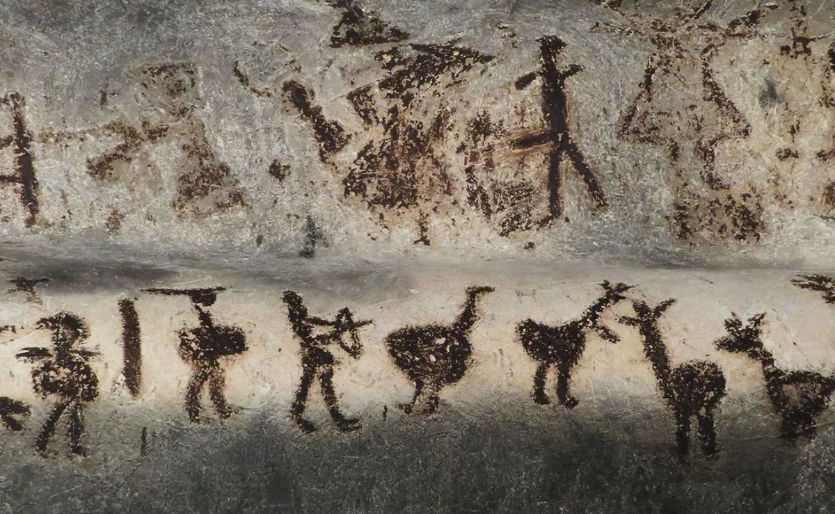 Và các ghi chép lịch sử dân tộc học chứng minh rằng, ở hầu hết các nơi trên thế giới, thợ săn cổ xưa đã dựa vào các chất độc có nguồn gốc từ thực vật và động vật để tăng hiệu quả cho vũ khí săn bắn của họ. Ảnh: @Adobe Stock.