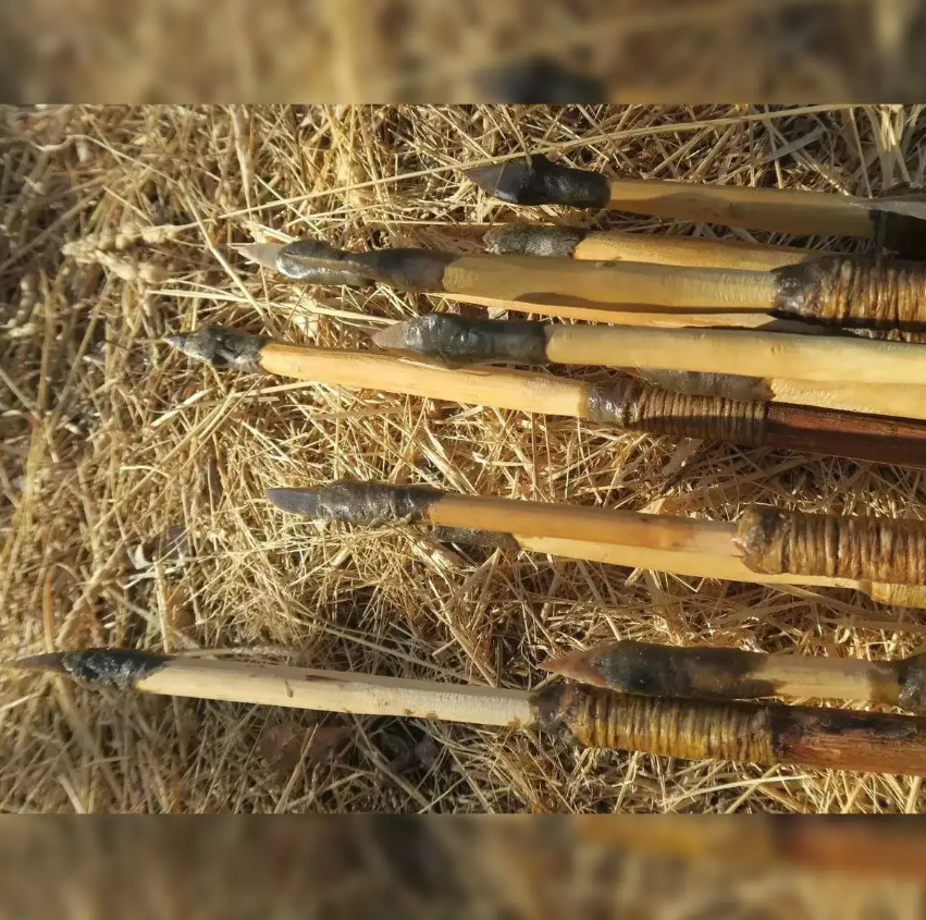 Vậy nên, theo Justin Bradfield, người dân địa phương cổ đã di chuyển quãng đường dài để có được hai chất hóa học này, hoặc tham gia vào các mạng lưới trao đổi hàng hóa khác. Ảnh: @The Economic Times.