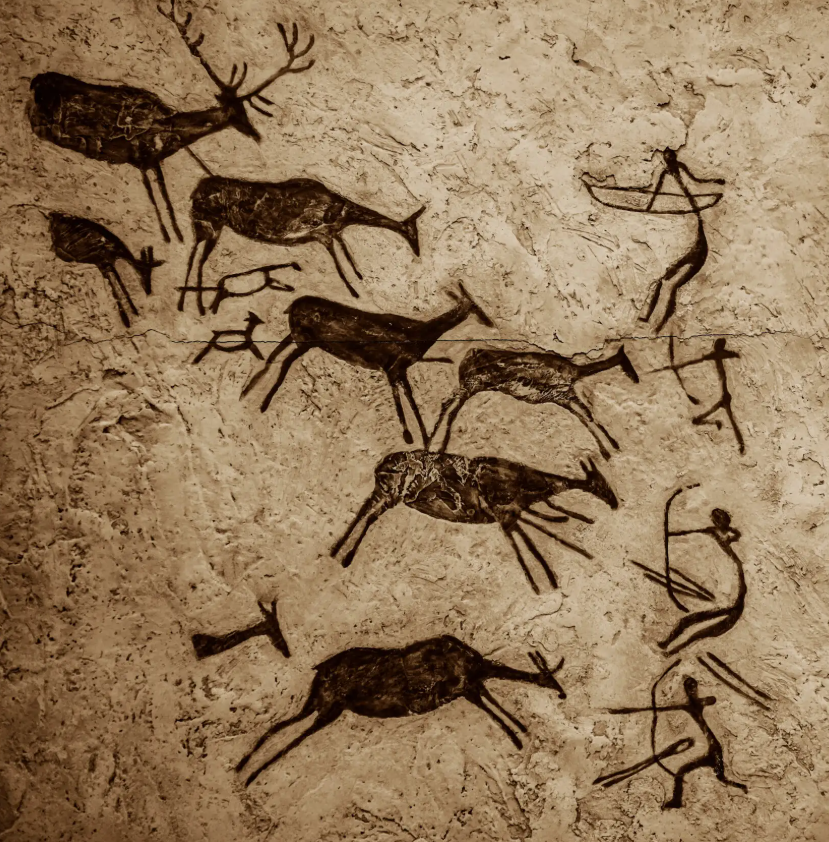 Điều này cho thấy, con người tại Hang Kruger ở Nam Phi thời kỳ cổ đã cố ý sử dụng chất độc để săn bắn hiệu quả. Ảnh: @Chip Chick.