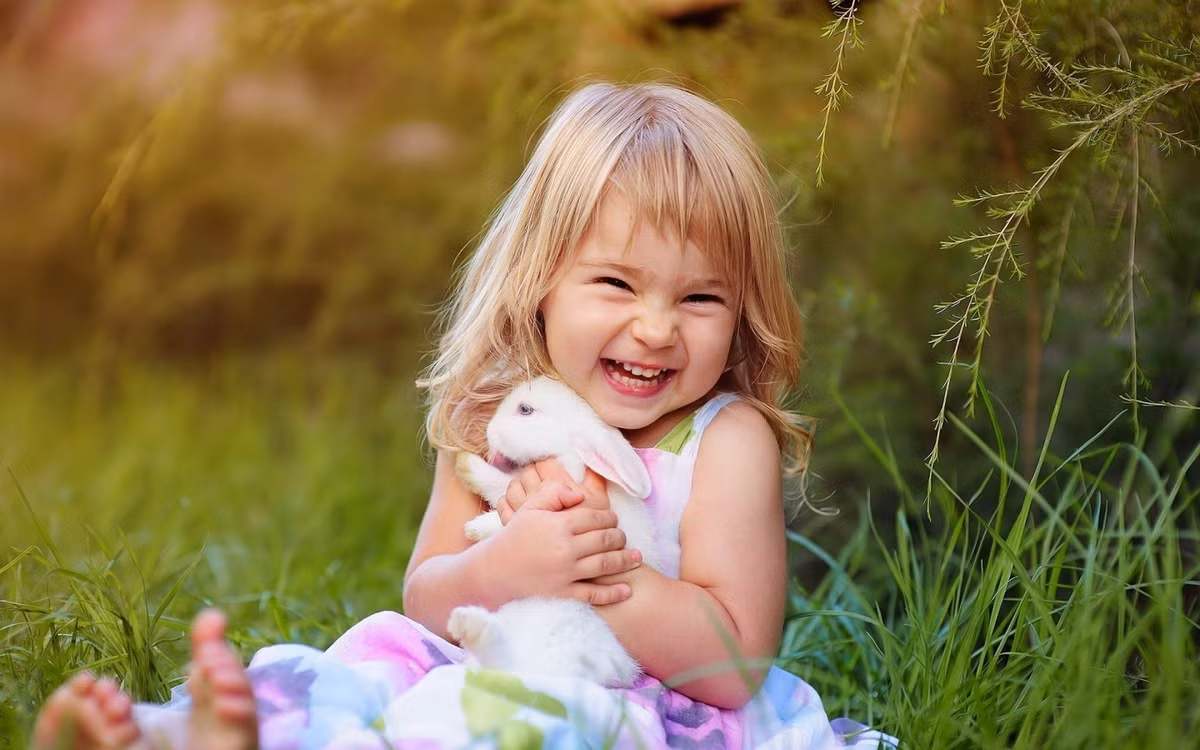 Tuổi Dậu: Người tuổi Dậu là người chăm chỉ cần cù và cũng rất giỏi ăn nói. Ảnh: image.baidu.com.