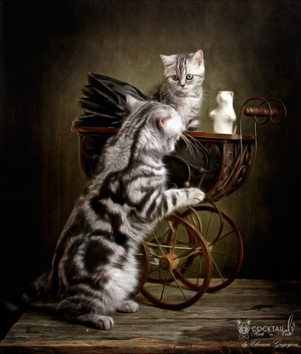  Tuổi Mão: Mọi sự ở chỗ làm và chuyện tình cảm thuận lợi bất ngờ khiến con giáp này không tin nổi vào bản thân. Tử vi 12 con giáp cho rằng, chính cách làm việc hiệu quả, dẫn dắt đội nhóm tốt, tài chính duy trì đỉnh cao là tiền đề tốt cho sự nghiệp hanh thông sau này.