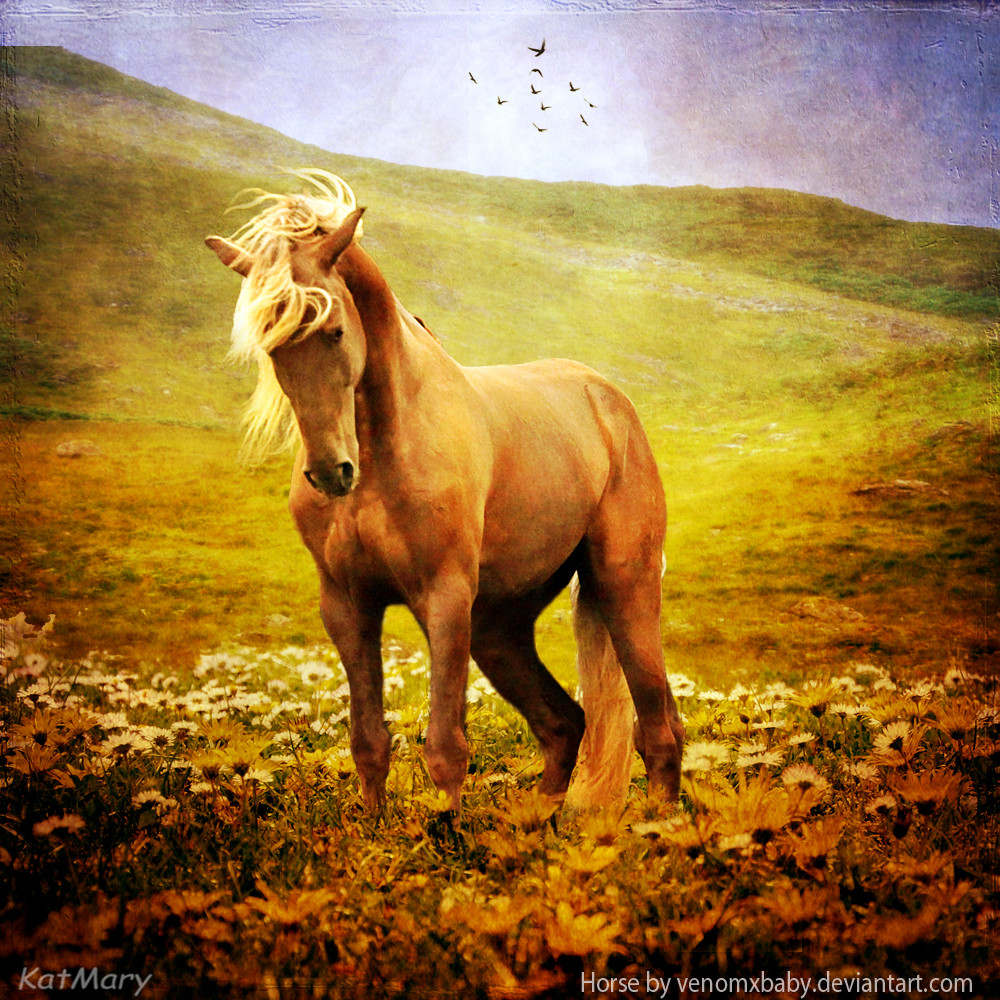  Tuổi Ngọ: “Xôi hỏng bỏng không” do bản tính của con giáp này quá vội vàng khiến bạn nếm mùi thất bại đau đớn cả trong chuyện tình cảm và kinh tế. Tử vi 12 con giáp nhắc nhỏ, mục tiêu ngắn hạn là giữ vững ghế ngồi, tiếp đến là vực dậy kinh tế.