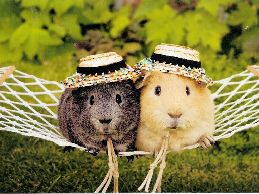  Tuổi Tý: Dự đoán ngày mới 11/6/2020 cho 12 con giáp thấy rằng, bạn sẽ có vận trình 24 giờ đầy bình ổn nhẹ nhàng, kinh tế vừa phải. Nếu cần thiết hãy “giả câm giả điếc” cho qua một vài chuyện ở chỗ làm, tất cả cốt để tránh bị vạ lây. Nửa kia thi thoảng sẽ cãi vã, giận hờn nhưng mâu thuẫn thật ra không đáng kể. 