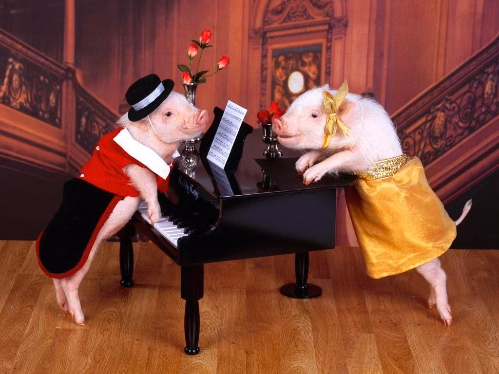  Tuổi Hợi: Dự đoán ngày mới cho 12 con giáp nhắc nhỏ, nên chú ý ăn uống, tránh bệnh đường tiêu hóa và giữ kế hoạch giảm cân. Tài chính vừa tầm, sự nghiệp ổn định nhưng bạn thiếu sức bật nên cần năng động, thay đổi tư duy. *Thông tin chỉ mang tính tham khảo, chiêm nghiệm