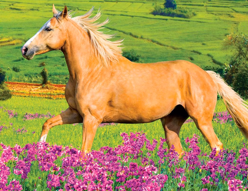  Tuổi Ngọ: Hôm nay bạn sẽ rất khổ sở, vất vả dọn dẹp mớ hỗn độn cho người khác đúng câu nói “quýt làm cam chịu”. Điểm cộng duy nhất theo đúng dự đoán của tử vi 12 con giáp, chính là tài chính bùng nổ, sự nghiệp dậm chân tại chỗ vì bạn chủ yếu kiếm tiền qua nghề phụ. 