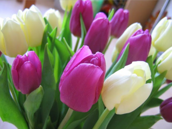 Theo dự đoán ngày mới 10/05/ 2018 cho 12 con giáp được đăng tải trên trang SMXS (Trung Quốc), công việc của người tuổi Tý đi xuống, nên hoàn thành sớm những công việc còn dở dang. Tài vận: tình hình tài chính đi xuống, ngày không thích hợp cho việc cầu tài. Tình cảm: xảy ra nhiều phiền phức trong tình cảm. Ảnh: baidu.com.