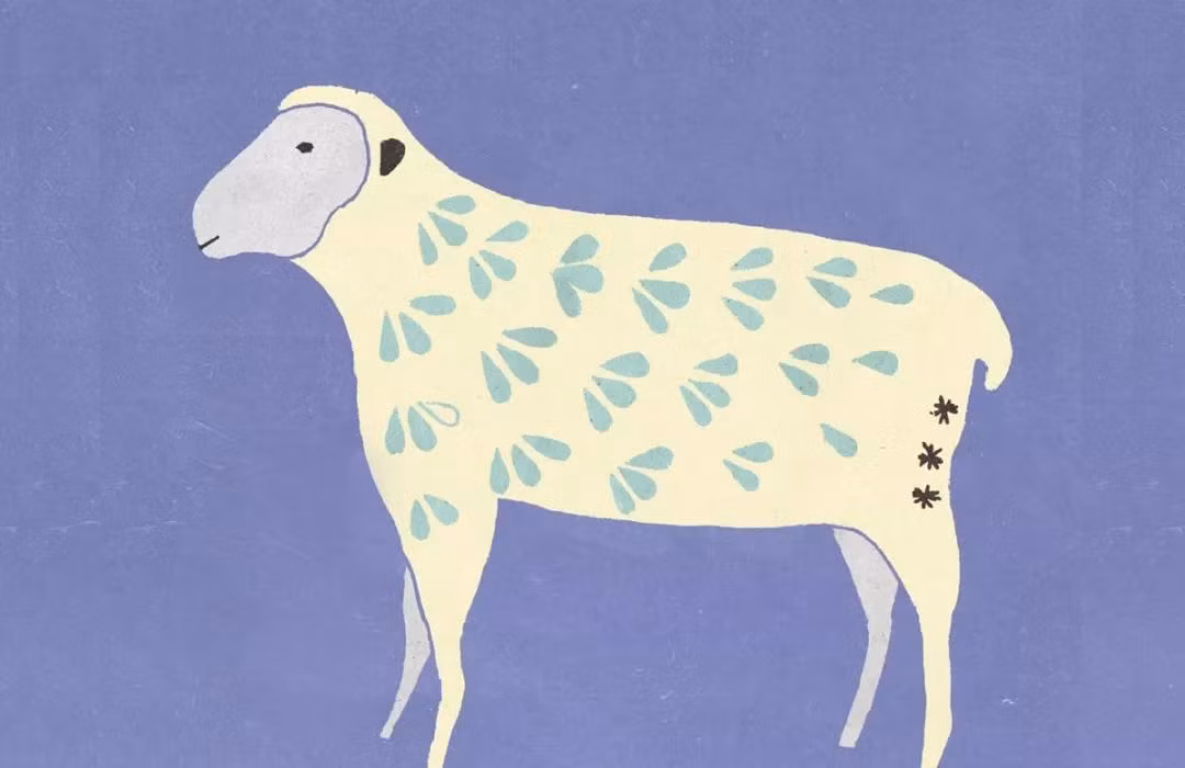 Tuổi Mùi: Vận thế ngày 15/08/2023 cho thấy hôm nay là ngày may mắn của người tuổi Mùi. Công việc: được quý nhân giúp đỡ, công việc tiến triển thuận lợi, nhanh chóng. Tiền bạc: bạn bè đem lại những tin tức đầu tư tài chính có lợi. Tình cảm: ngày thích hợp cho việc bộc lộ tình cảm.