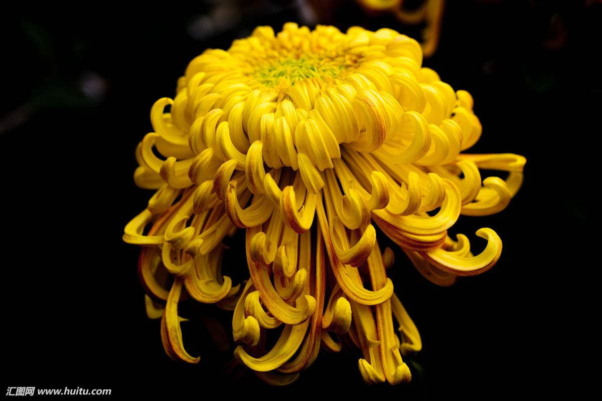 Người sinh vào tháng 4, tháng 6 âm lịch còn là người không bao giờ bỏ cuộc trước khó khăn và rất kiên trì nên thường thu được thành công rực rỡ hơn người khác, cũng chính vì thế mà sớm tạo dựng được cuộc sống giàu sang, quyền cao chức trọng.