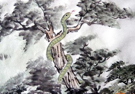 Tháng 8, người tuổi Tỵ do được cát tinh “Long Đức” phù hộ nên sẽ tạo dựng được vô số các mối quan hệ tốt đẹp. Chính những mối quan hệ đó đã mang lại may mắn về công việc và tài vận cho con giáp này. Người tuổi Tỵ có thể ung dung chờ đón những tin vui về tiền bạc và sự nghiệp liên tiếp kéo đến.