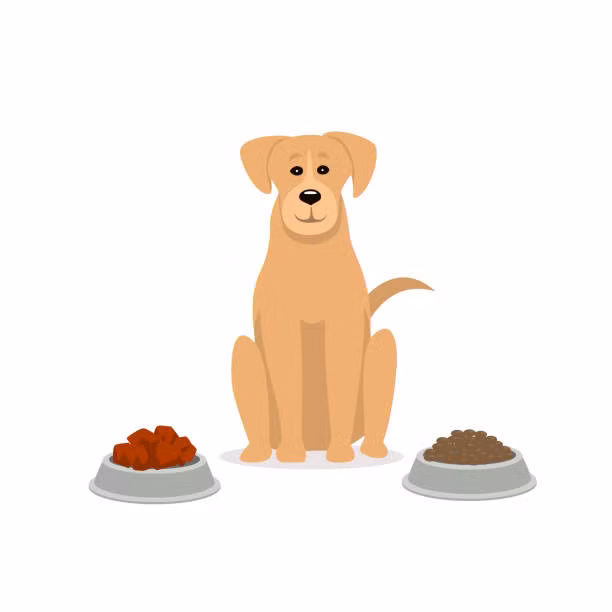 Tuổi Tuất giàu trí tưởng tượng và rất có tổ chức trong công việc. Trong 3 tháng tới, con giáp sẽ có nhiều sự thay đổi nhờ quý nhân giúp đỡ.