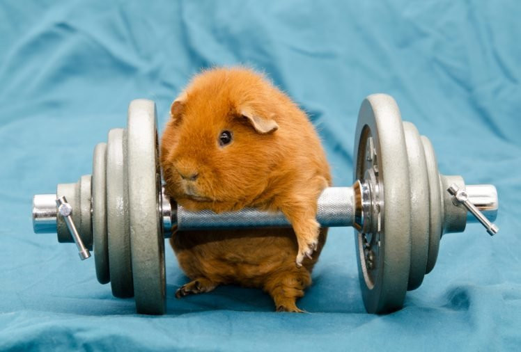 Du doan ngay moi 31/7/2020 cho 12 con giap