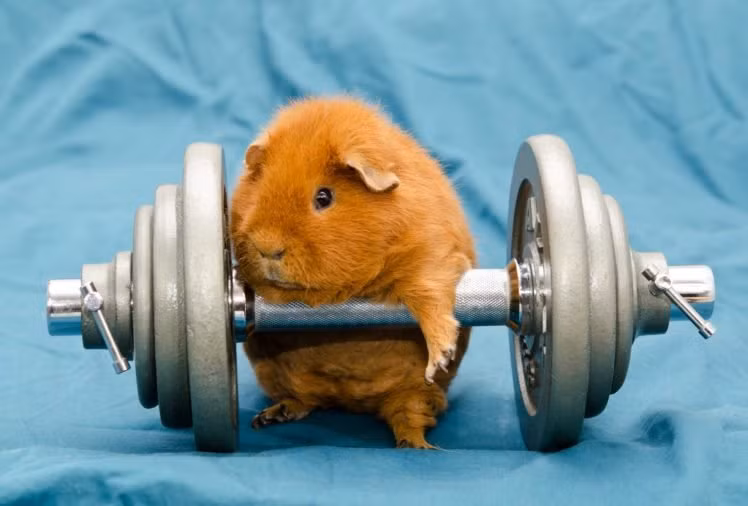 Du doan ngay moi 31/7/2020 cho 12 con giap