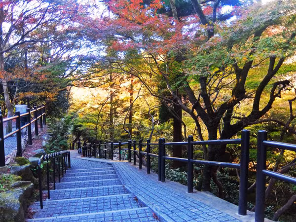 Tuổi Thìn: Người tuổi Thìn sinh ra đã mang khí chất cao quý. Con giáp này thuộc tuýp người không sợ gì, có khả năng mưu lược hơn người và rất có con mắt nhìn người. Ảnh: phunungaynay.vn. 