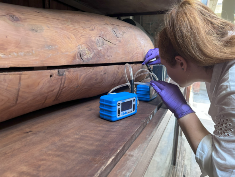 Trong quá trình phân tích, các nhà nghiên cứu còn phát hiện ra dấu vết của muối natron, nhựa thông lá kim, nhựa cây tuyết tùng, cây bách xù, nhựa cây myrrh, trầm hương, gia vị, thảo mộc, hoa, dầu thực vật, mỡ động vật và sáp tẩm trong xác ướp. Ảnh: @Emma Paolin.