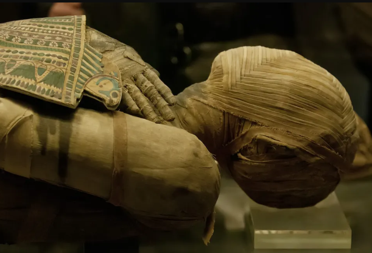 Ngoài ra, còn có một thiết bị “mũi điện tử” giúp họ phân loại mùi dựa trên cường độ và mức độ dễ chịu của các mùi phát ra từ xác ướp Ai Cập cổ đại. Ảnh: @Andrea Izzotti.